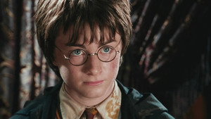 Harry Potter and the Chamber of Secrets