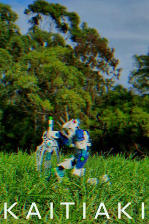 Kaitiaki