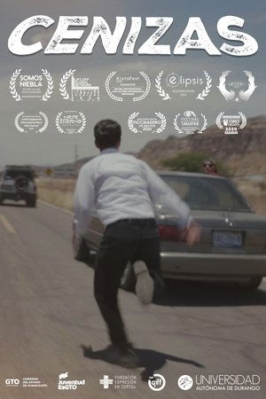 Default Netflix logo