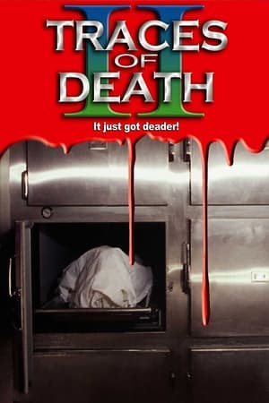 Póster de la película Traces Of Death II