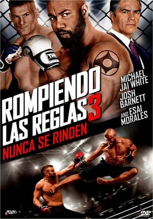 Póster de la película Rompiendo las reglas 3