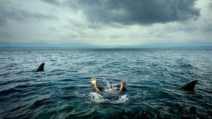 Open Water : En eaux profondes