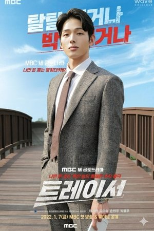 트레이서