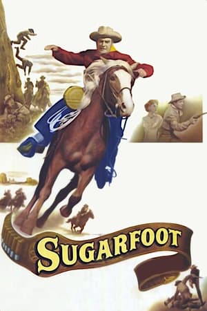 Póster de la película Sugarfoot