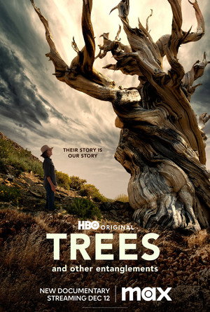trees-and-other-entanglements