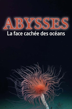 Póster de la película Abysses, la face cachée des océans