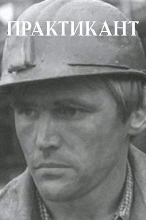 Default Netflix logo