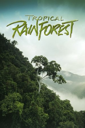 Póster de la película Selvas tropicales