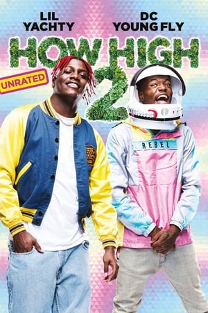 Póster de la película How High 2