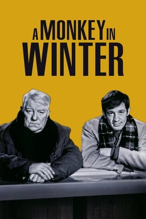 watch a monkey in winter movie poster