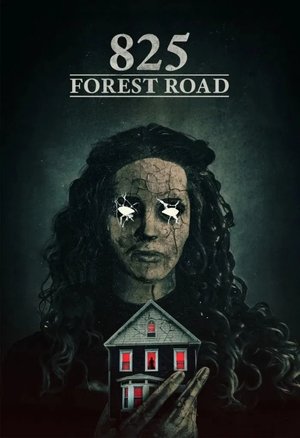 Póster de la película 825 Forest Road