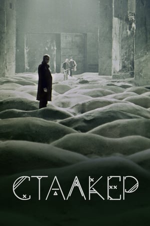 Póster de la película Stalker