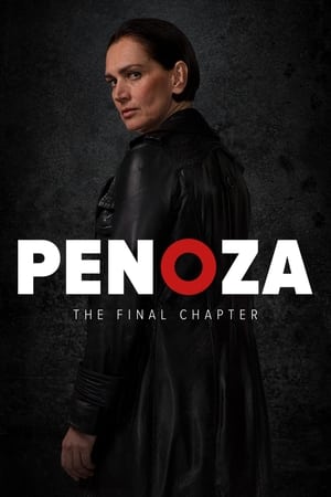 Póster de la película La Viuda Negra