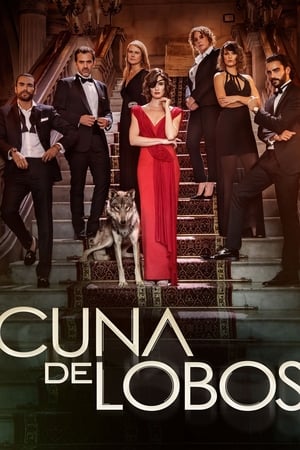 Póster de la serie Cuna de lobos