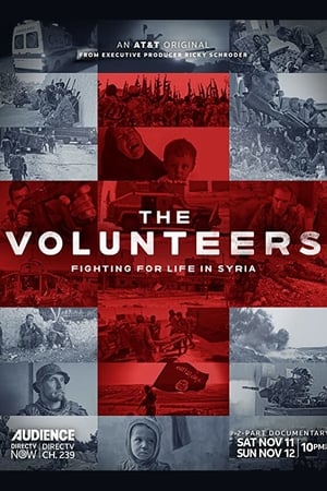 Póster de la película The Volunteers