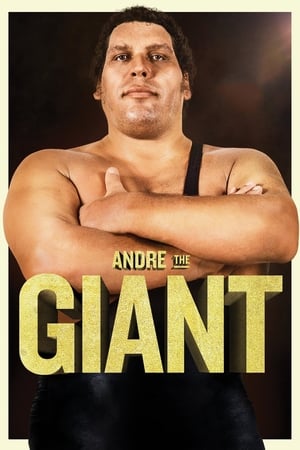 Póster de la película Andre the Giant