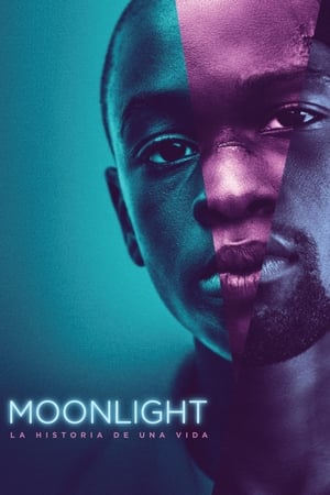 Póster de la película Moonlight