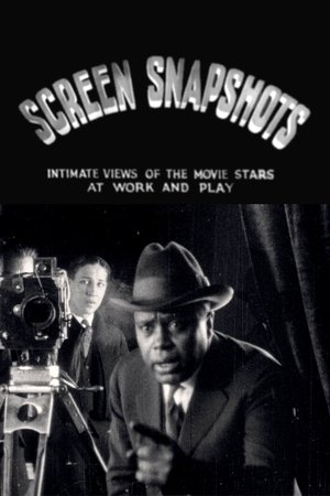 watch screen snapshots (series 1, no. 7) movie poster