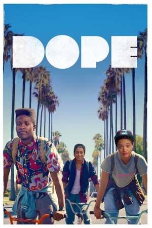 Póster de la película Dope