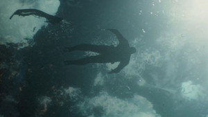 Captain America: The Winter Soldier