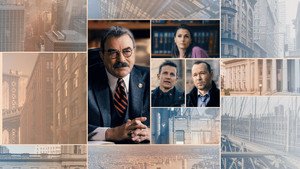 Blue Bloods