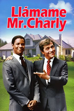 Póster de la película Llámame Mr. Charly
