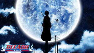 Bleach