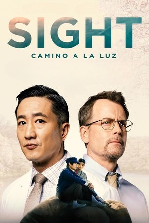 Póster de la película Sight: Camino a la luz