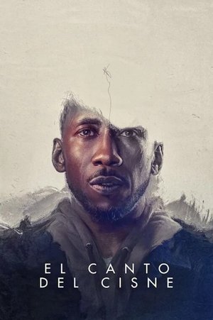 Póster de la película El canto del cisne