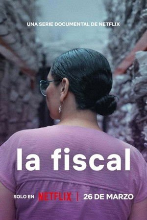 Póster de la serie La fiscal