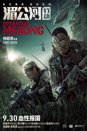 Póster de la película Operación Mekong