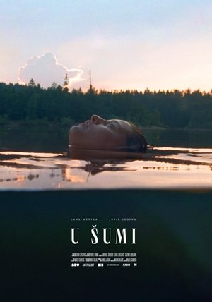 Default Netflix logo