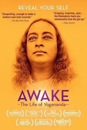 Póster de la película Awake: The Life of Yogananda