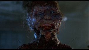 The Fly