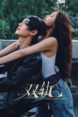 Póster de la serie 双轨