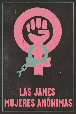 Póster de la película Las Janes: Mujeres anónimas