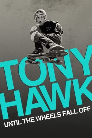 Póster de la película Tony Hawk: Hasta que las ruedas aguanten