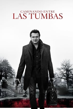 Póster de la película Caminando entre las tumbas