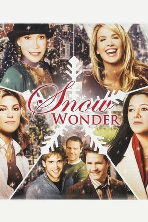 Póster de la película Snow Wonder