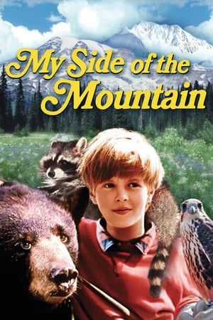 Póster de la película El muchacho y su montaña