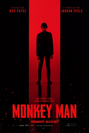 Póster de la película Monkey Man