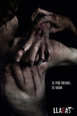 Default Netflix logo