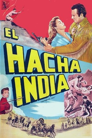 Póster de la película The Rawhide Trail