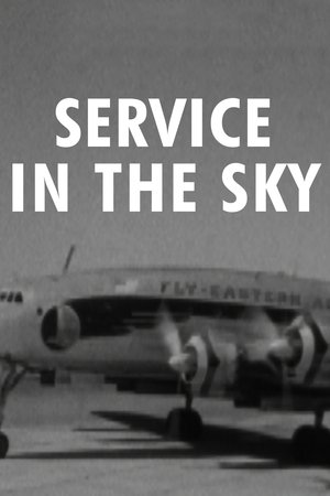 Póster de la película Eye Witness: Service in the Sky