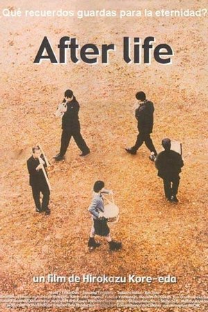 Póster de la película After Life