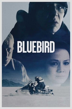 Póster de la película Bluebird