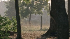 The Walking Dead