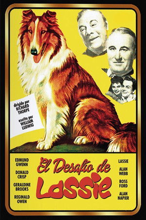 Póster de la película El desafío de Lassie