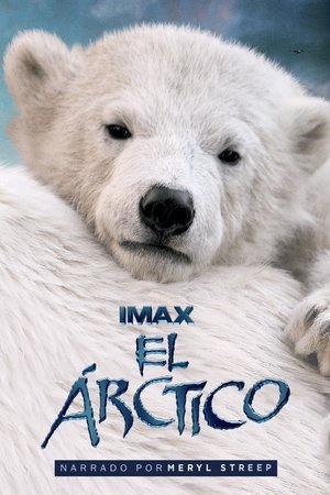 Póster de la película Osos Polares 3D: Ojos en el Hielo