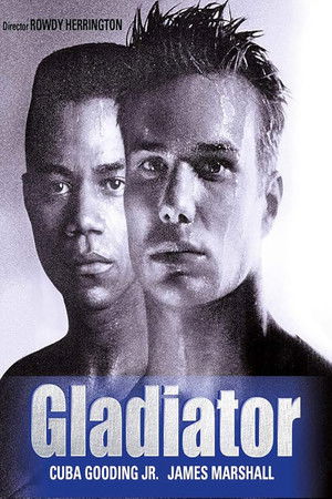 Póster de la película Gladiator